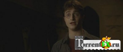    - / Harry Potter and the Half-Blood Prince [2009 ., DVDRip]  