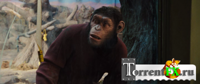    / Rise of the Planet of the Apes (2011) HDRip