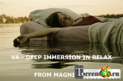 VA - Deep Immersion In Relax (2013) MP3
