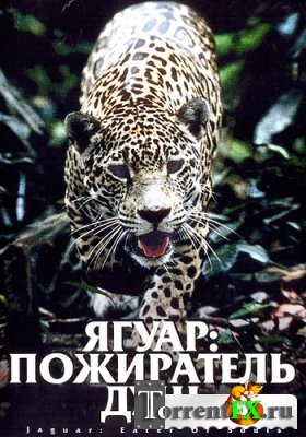 :   / Jaguar: Eater of Souls (1999) VHSRip