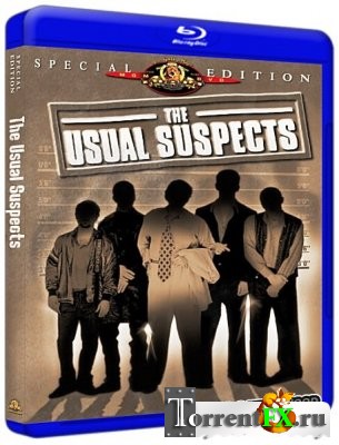   /   / The Usual Suspects (1995) BDRip-AVC  HELLYWOOD | JPN Transfer