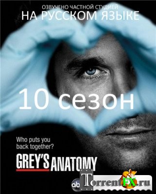   /   / Grey's Anatomy 10  1-8  (2013) WEB-DL (720p)