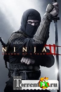  2 / Ninja: Shadow of a Tear (2013) BDRip | L2