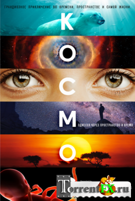 :    / Cosmos: A SpaceTime Odyssey 1   (2014) HDTVRip 720p | FOX