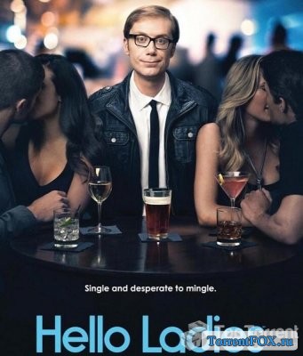  :  / Hello Ladies: The Movie (2014)