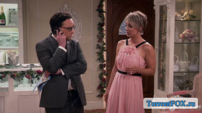    / The Big Bang Theory (9  2015)
