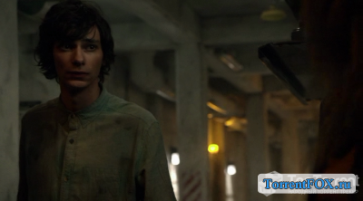  / The 100 / The Hundred (2  2014)