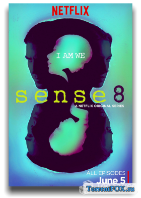   / Sense8 (1  2015)