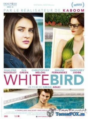     / White Bird in a Blizzard (2014)