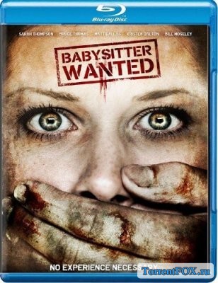   / Babysitter Wanted (2008)