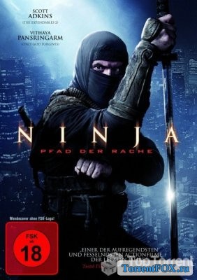  2 / Ninja: Shadow of a Tear (2013)