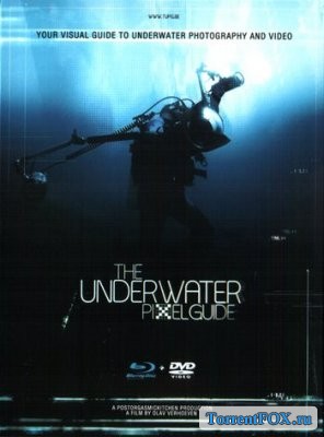     / The Underwater Pixelguide (2012)