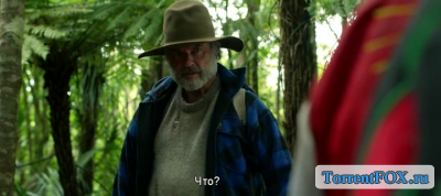     /    / Hunt for the Wilderpeople (2016)