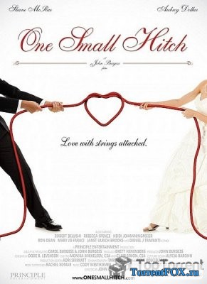   / One Small Hitch (2013)