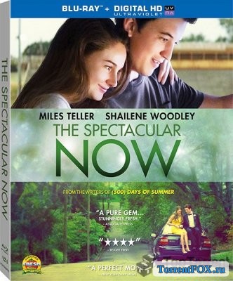   / The Spectacular Now (2013)