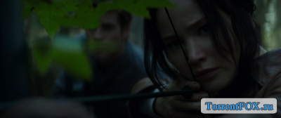  : -.  I / The Hunger Games: Mockingjay - Part 1 (2014)