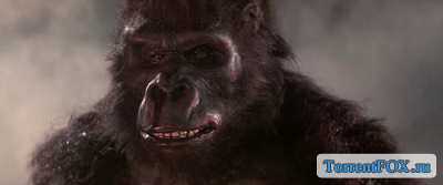    / King Kong Lives (1986)