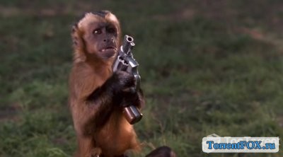    / Monkey Trouble (1994)