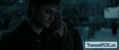     :  1 / Harry Potter and the Deathly Hallows: Part 1 (2010)