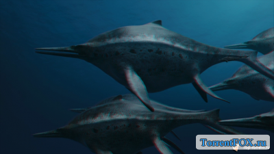   3D:     / Sea Rex 3D: Journey to a Prehistoric World 3D (2010)