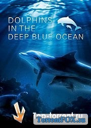 Дельфины в глубоком голубом океане / Dolphins In The Deep Blue Ocean (2009)