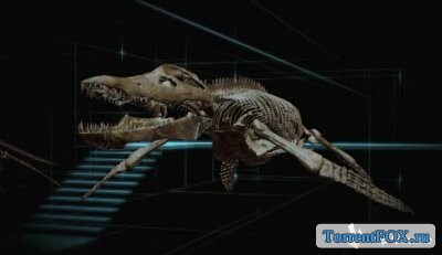  :     / Sea Rex: Journey to a Prehistoric World (2010)