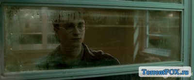    - / Harry Potter and the Half-Blood Prince (2009)