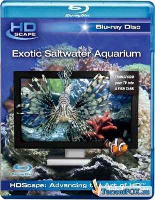 HDScape: Экзотический морской аквариум / Exotic Saltwater Aquarium (2006)