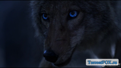 Волчонок / Оборотень / Teen Wolf (4 сезон 2014)