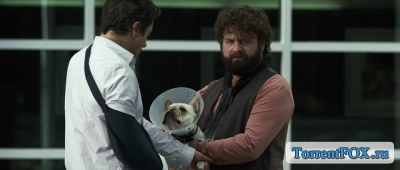  / Due Date (2010)
