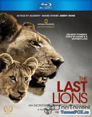 Последние львы / The Last Lions (2011)