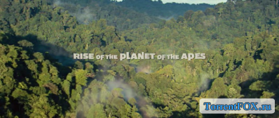    / Rise of the Planet of the Apes (2011)