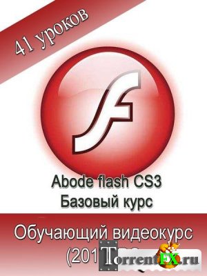 Adobe Flash CS3.   