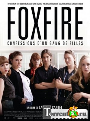 Фоксфайр, признание банды девушек / Foxfire, confessions d'un gang de filles (2012) BDRip-AVC