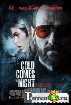 Взгляд зимы / Cold Comes the Night (2013) BDRip 1080p