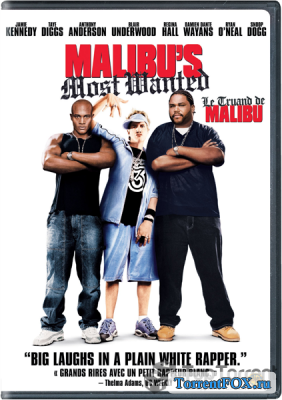    / Malibu's Most Wanted (2003)