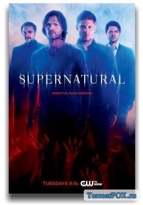  / Supernatural (11  2015)