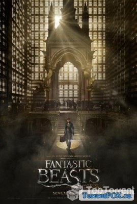 Фантастические твари и где они обитают / Fantastic Beasts and Where to Find Them (2016)