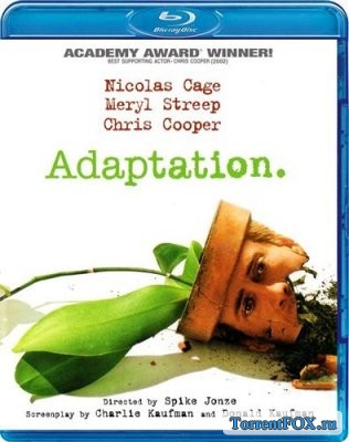  / Adaptation. (2002)