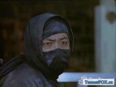   / Enter the Ninja (1981)