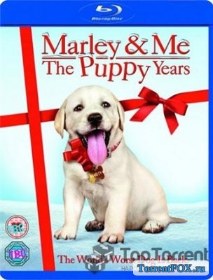    2 / Marley & Me: The Puppy Years (2011)