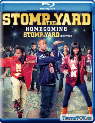   2:   / Stomp the Yard 2: Homecoming (2010)