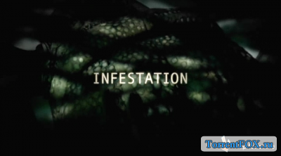  / Infestation (2009)