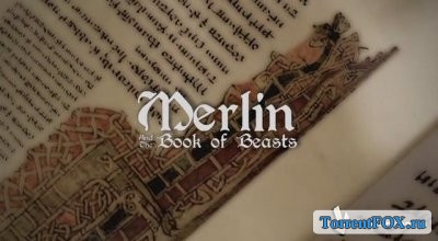     / Merlin and the Book of Beasts (2009)