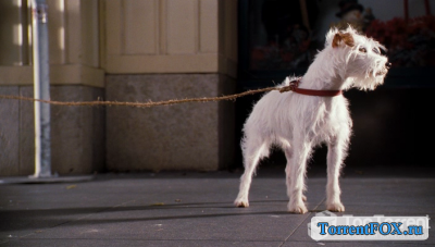    / Hotel for Dogs (2009)