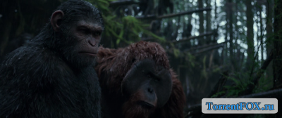  :  / War for the Planet of the Apes (2017)