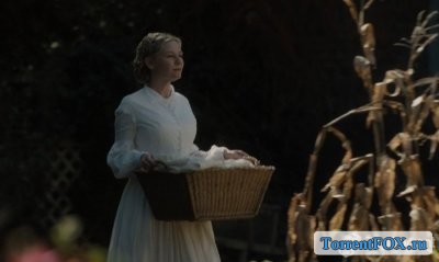   / The Beguiled (2017)