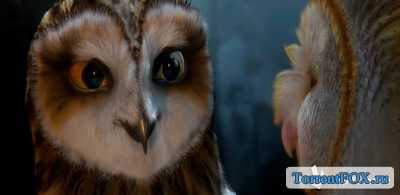    / Legend of the Guardians: The Owls of GaHoole (2010)