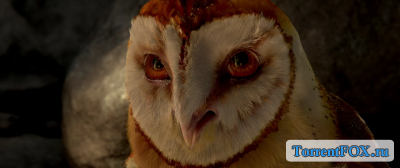    / Legend of the Guardians: The Owls of GaHoole (2010)